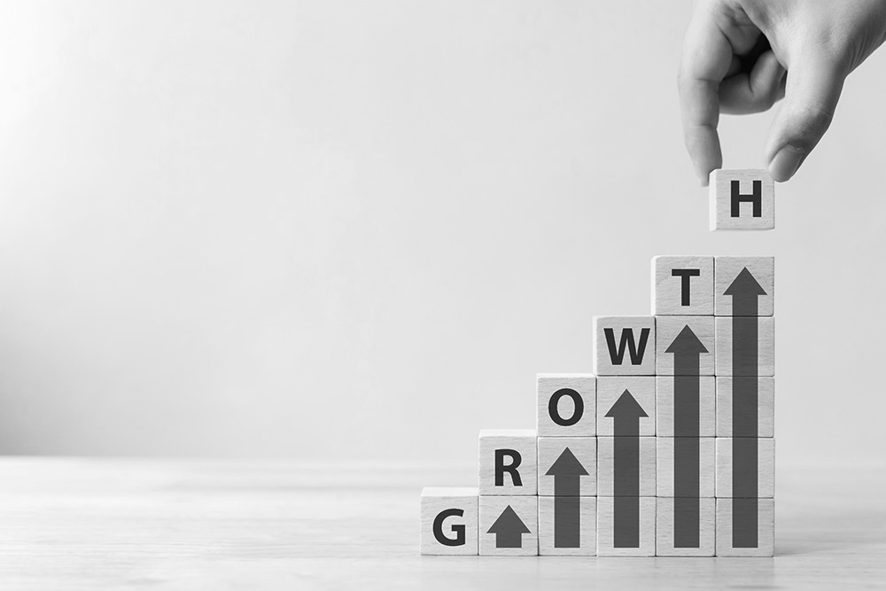 Susan Van Klink for Business Advice